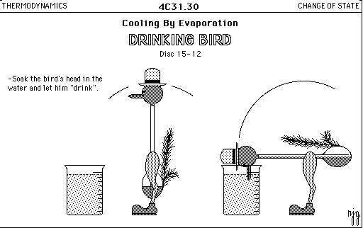 Thermodynamic Drinking Bird