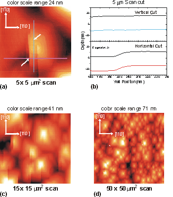 S498 - AFM Images