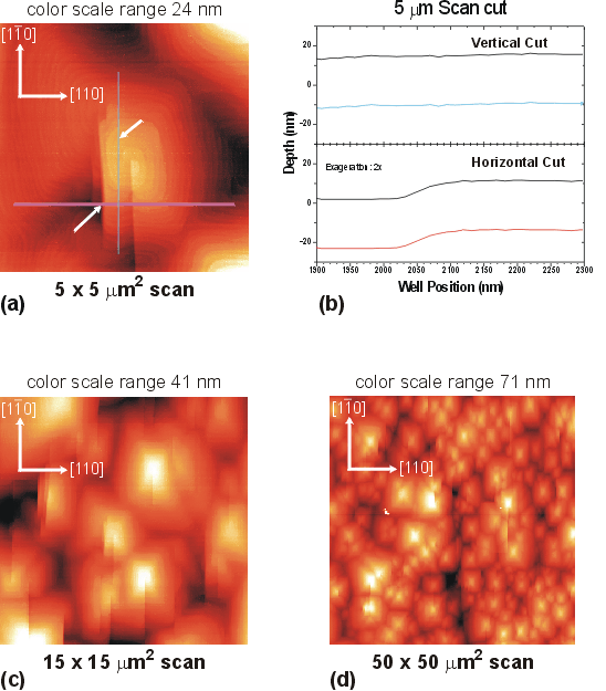 S498 - AFM Images